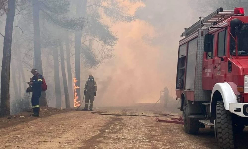 Φωτιά στο Σχίνο: Εκτός ελέγχου το πύρινο μέτωπο - Ο στρατός απεγκλωβίζει άτομα με αναπηρία
